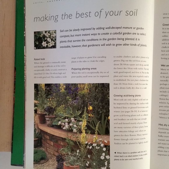 'The Small Garden' by David Squire - Picture 2 of 8